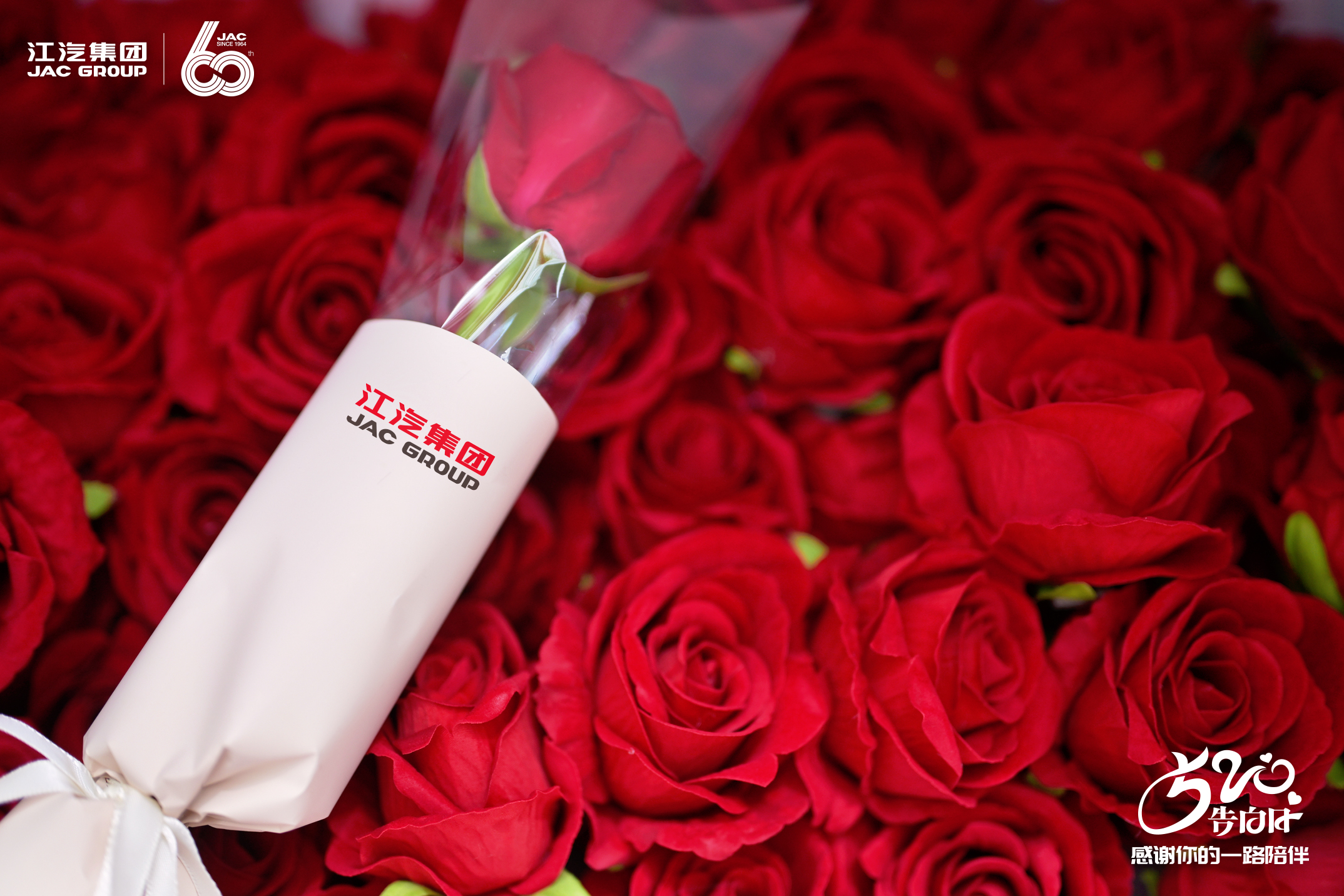 2003网站太阳集团-首页(迎接您!)